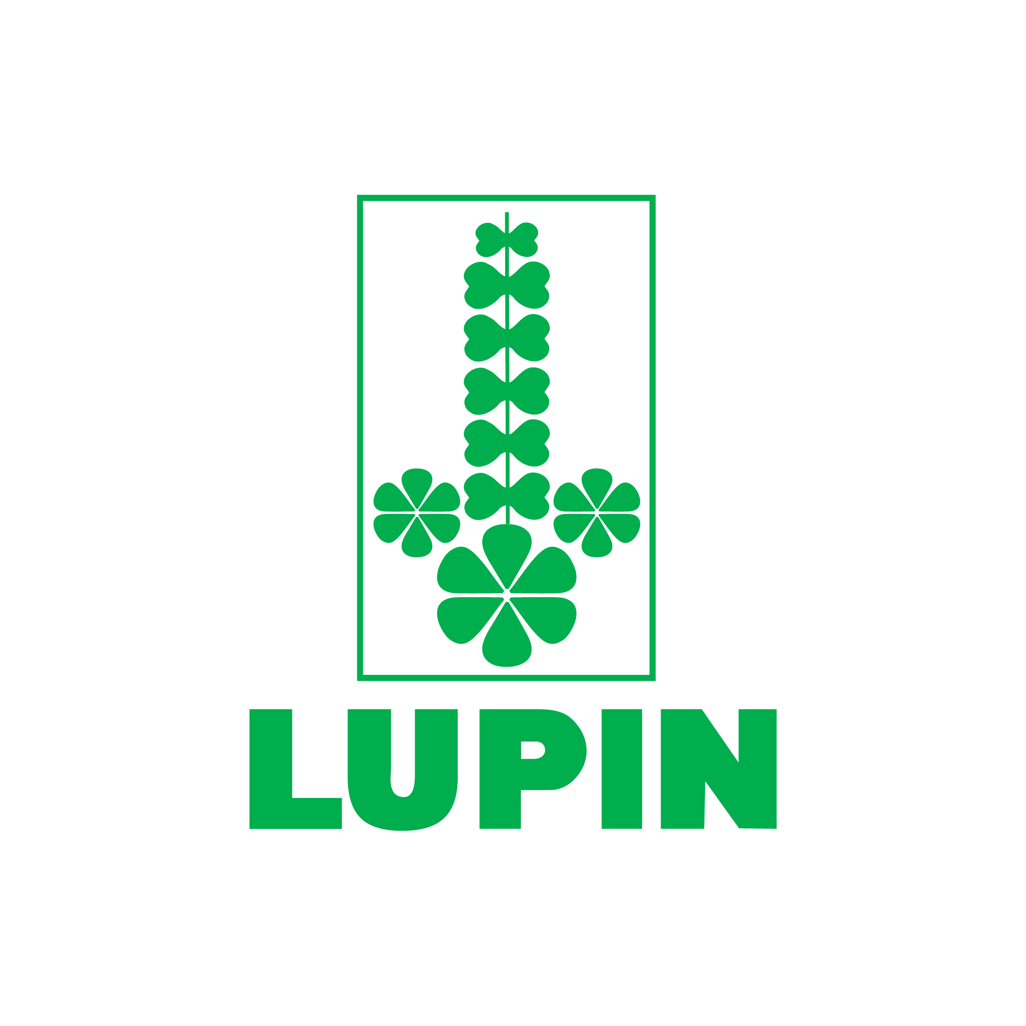 /assets/images/art/pp-client-logos_lupin.png